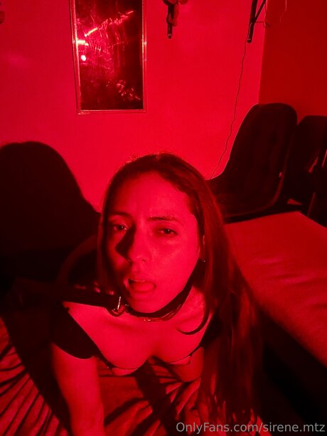 Sirene Mtz アートスター 画像