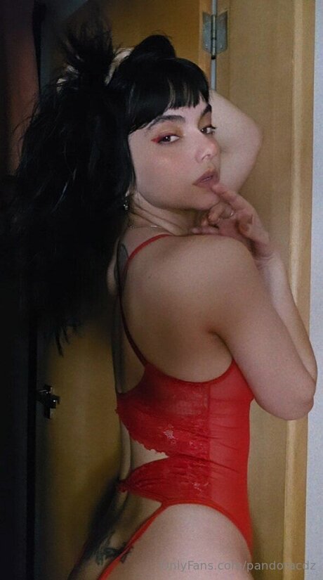 Pandoracdz ポルノスター 高品質 画像