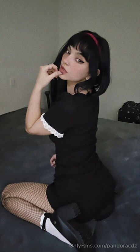 Pandoracdz 美しいポルノスター 写真