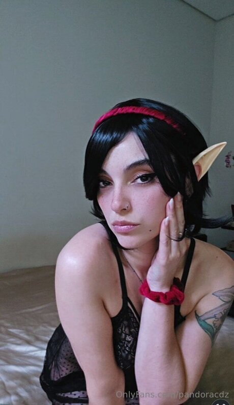 Pandoracdz 独占ポルノスター 画像