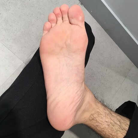 Calsiffer HDスター ギャラリー