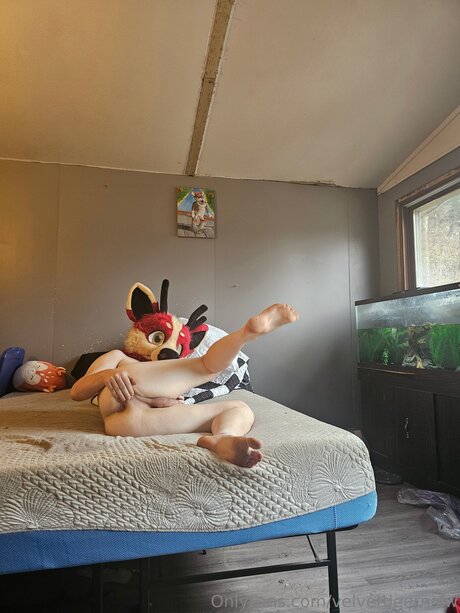 ティーングラスオンリーファン 無料ポルノ 画像