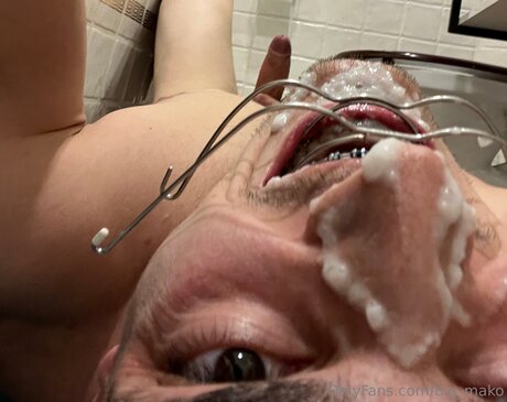 Big Mako 素敵なスター 写真