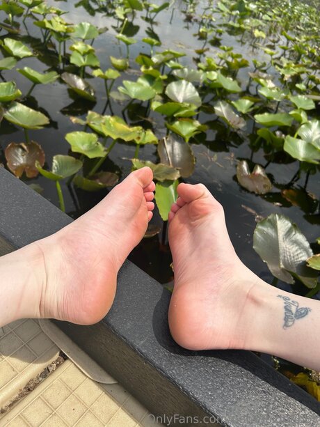 Paranoidpuppy HDスター 写真