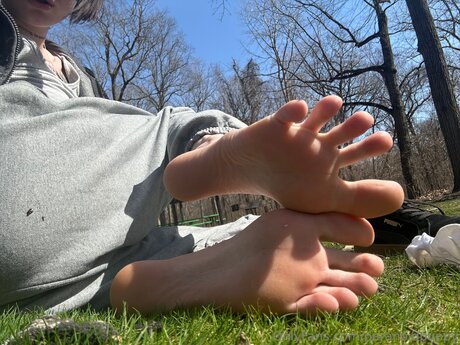 Paranoidpuppy top profile image