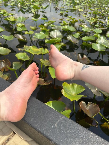 Paranoidpuppy 最高のモデル アーカイブ