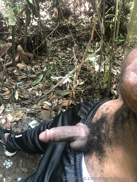 大きな黒いチンポ OnlyFans xxx アーカイブ