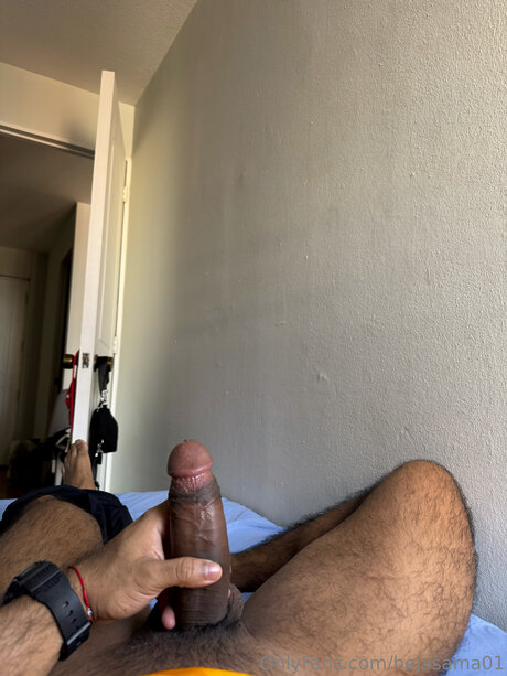 Hejasama01 HDスター 写真