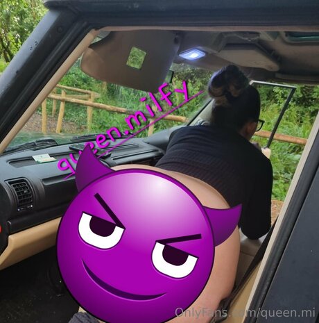 Queen Mi HDモデル 画像