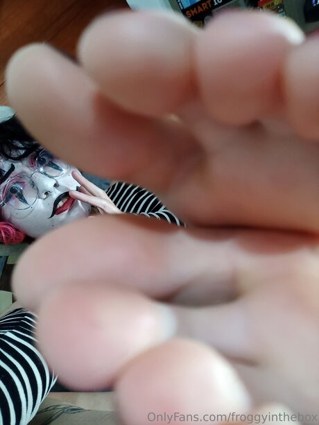 Froggyinthebox 最高のスター 写真