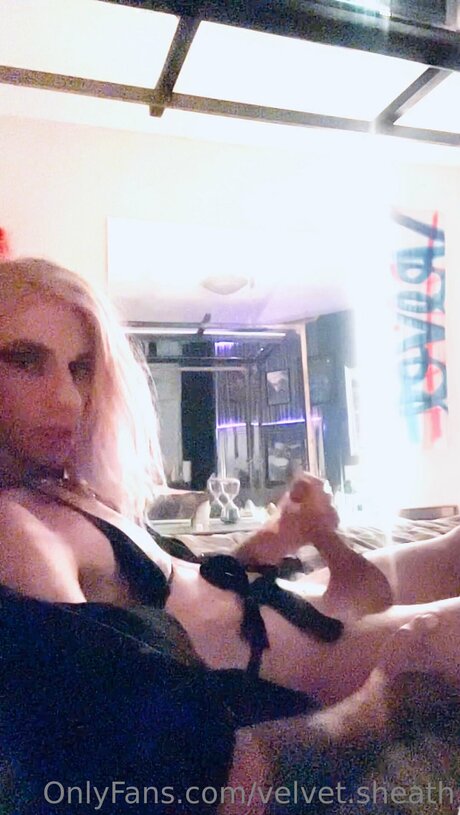 Velvet Sheath ポルノスター 画像