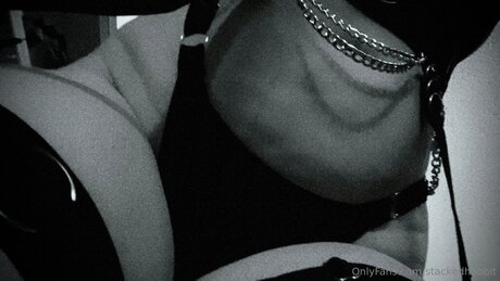 Stackedhobbit 独占スター 画像