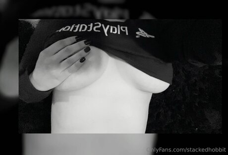 Stackedhobbit HDモデル 写真