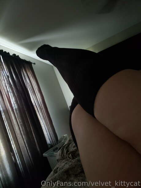 Velvet Kittycat かわいいスター 写真