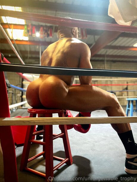 Unforgettable Trophy セクシーなスター 画像