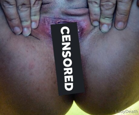 自然のみファン トップ 画像