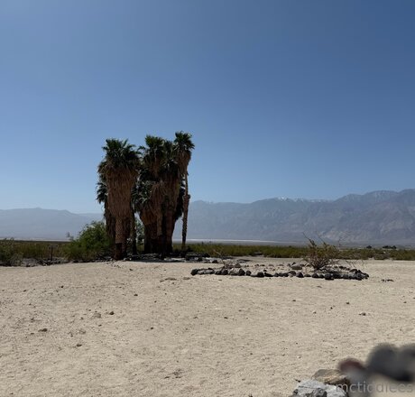 Mctiddiees かわいいポルノスター 写真