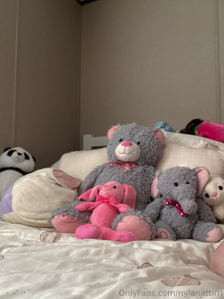 Nylanattirri ポルノスター ベスト 画像