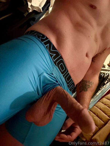 T2487 高品質モデル 写真