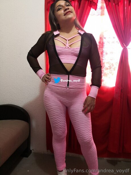 シーメールランジェリーOnlyFans ヌード 画像