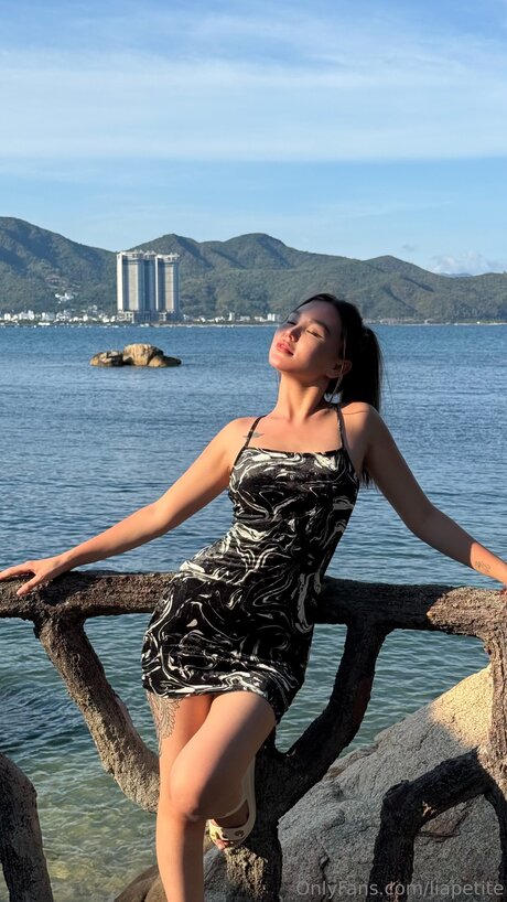 Liapetite スター 画像