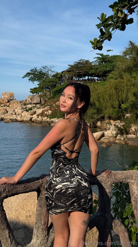 Liapetite 素敵なスター 写真