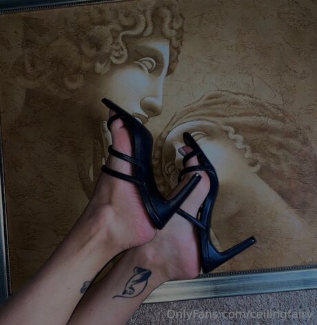 ビンボオンリーファンズ アダルト 写真