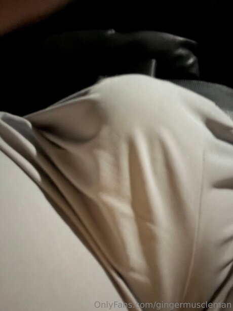 Gingermuscleman ヌードのポルノスター ギャラリー