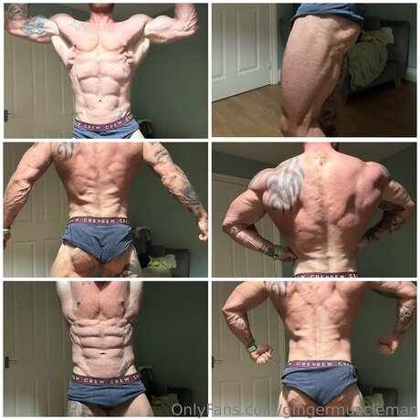 Gingermuscleman トップポルノスター ギャラリー