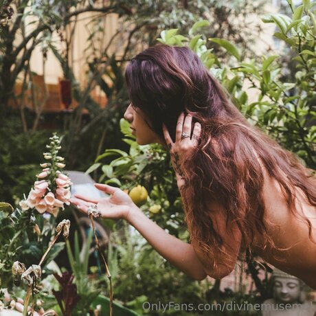 Divinemusemel ポルノスター パーフェクト 写真