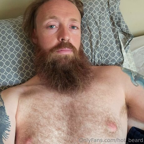 Hot Beard 高品質のポルノスター 写真