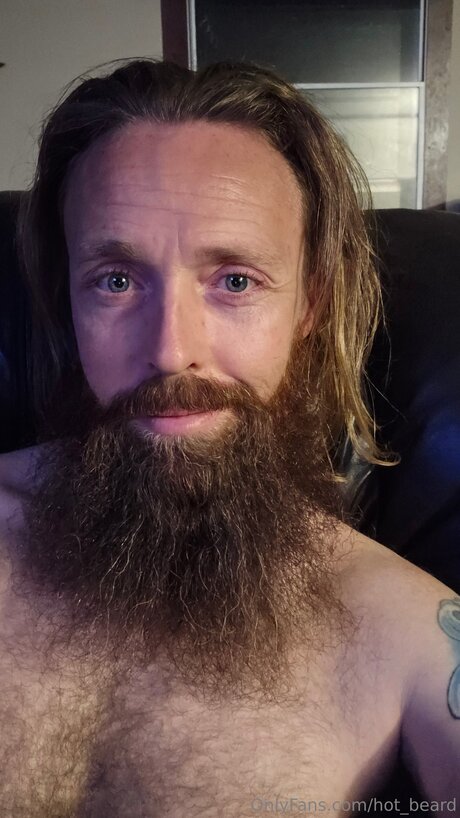 Hot Beard かわいいスター 画像