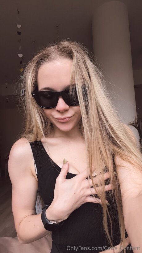 Carrs Content HDモデル 写真