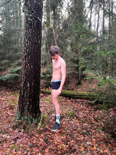 Thebeeb0i 素敵なスター 写真