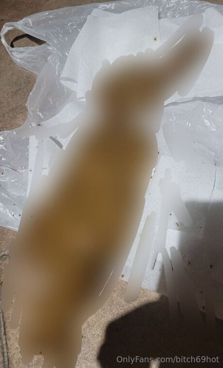 ハードファックOnlyFans ポルノ ギャラリー