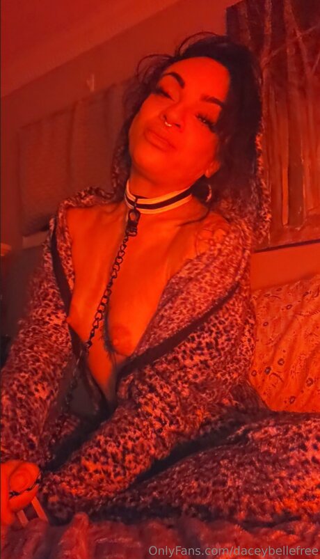 Daceybellefree エロティック女優 写真