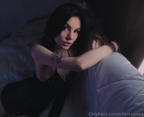 Cherrygaga ホットなポルノスター 画像