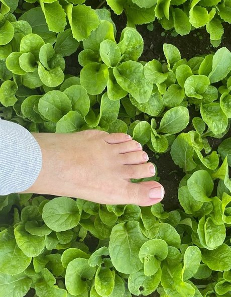 sunnymei ポルノスター ヌード ギャラリー