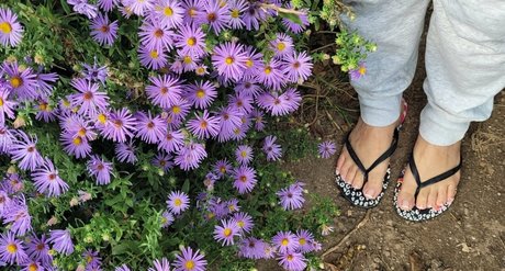 sunnymei 美しい女優 ギャラリー