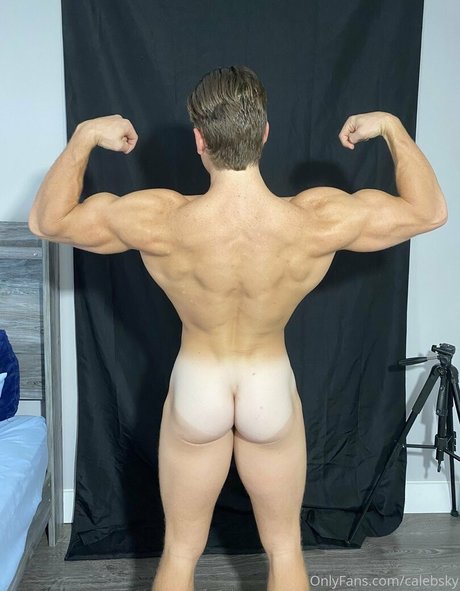 calebsky アートスター 写真