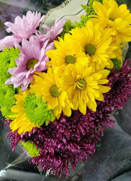 シーメールランジェリーOnlyFans セクシーヌード ギャラリー