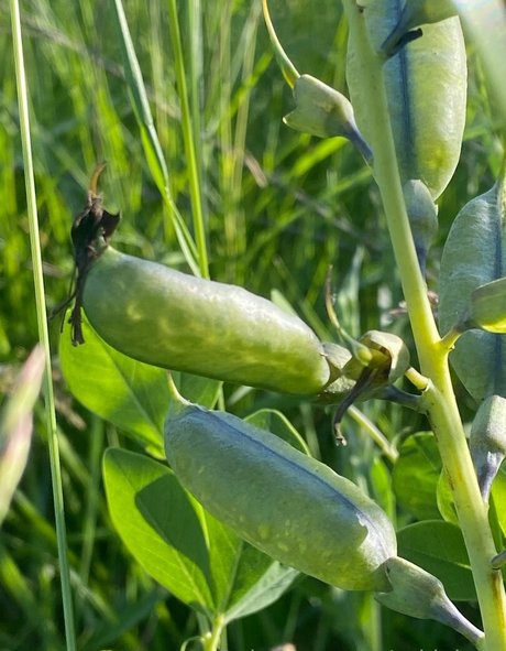 イギリス人熟女OnlyFans ベスト ギャラリー