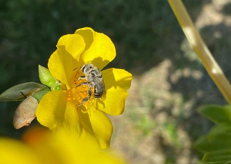 rukiabrat エロティックなポルノスター 画像