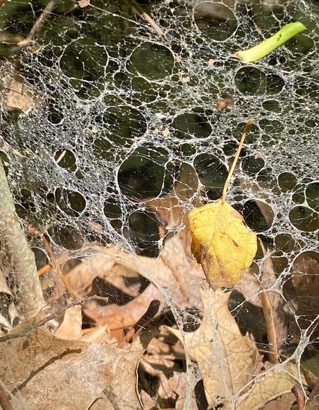 ゲイのラフなOnlyFans 美しい裸 写真