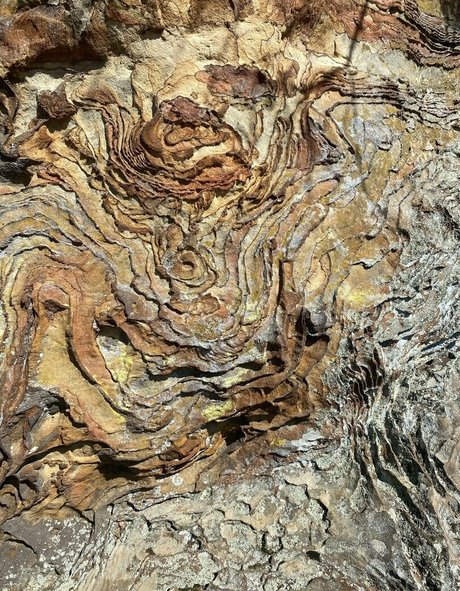 黒人のOnlyFans ポルノ 画像