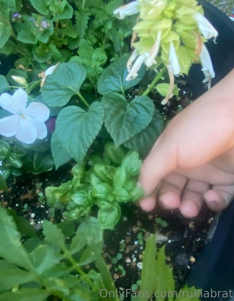 アジア人寝取られOnlyFans 素敵 ギャラリー