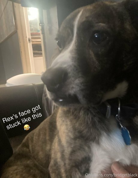 bridgetblack セクシーなポルノスター 写真