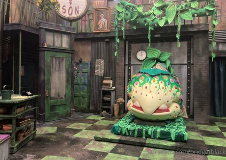 bridgetblack スター 写真