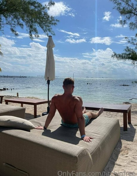 fitshinfree アートポルノスター 写真