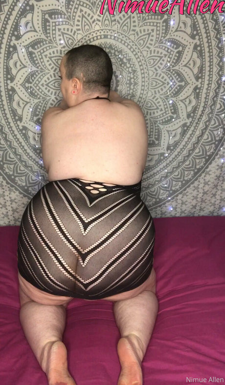 nimuesworld アートスター 写真